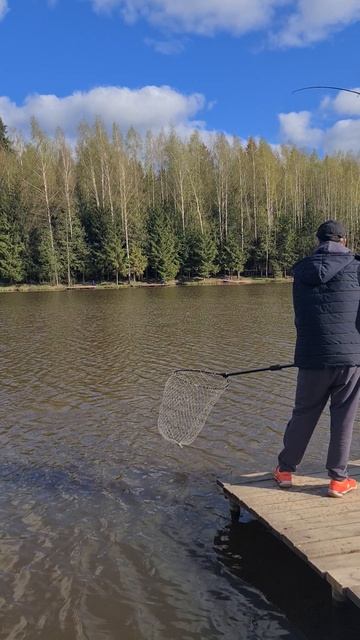 Поимка карпа смотреть онлайн