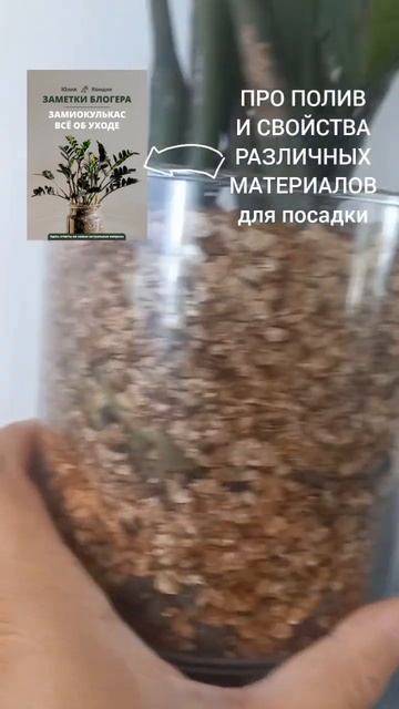 ПОЛИВ замиокулькаса В ВЕРМИКУЛИТЕ