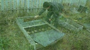 Секреты посадки укропа под зиму: Минимум усилий — мак?