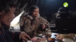 Как питаются ненцы. Зачем едят сырое мясо и пьют олень?