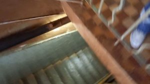 Спуск в подвал зданія Шахты №9 "Черёмуховская" 20250307_123344