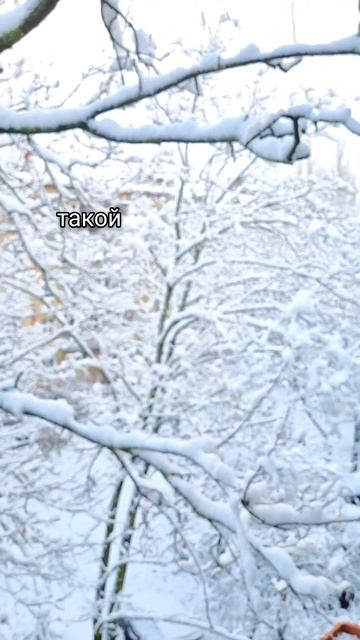 Зима в Калининграде по расписанию ❄️ #зима #зима2023 #зи