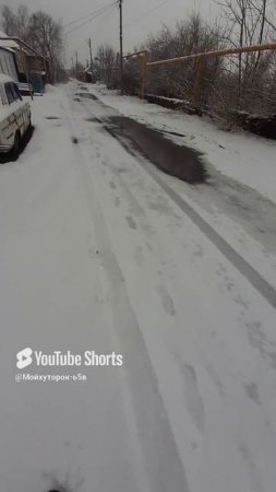 ВОТ ТАКОЙ ВОТ НАТЮРМОРТ!!!Shorts