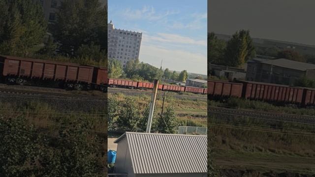 3 сентября 2024 г.