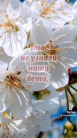 С ДНЁМ ВЕЛИКОЙ ПОБЕДЫ!🙏 ПОМНИМ!🙏 ГОРДИМСЯ!