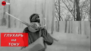 Охота на Глухаря на Току! Подход и выстрел в кадре!!!