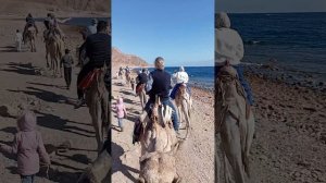 Шарм-эль-Шейх 2025. Новый год в Египте. Часть 1