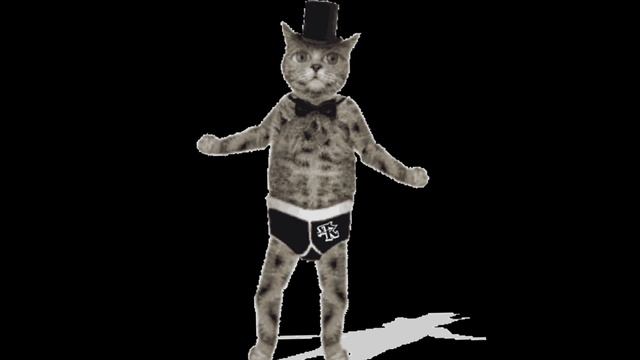 мемы про кошачьих 5🐈⬛ смотреть онлайн