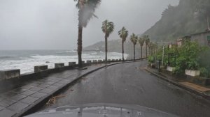 🇵🇹 Мадейра, Португалия - Расслабляющая поездка в дождливую погоду ⛈ | 2025