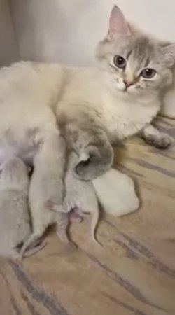 🥳 с днем рождения, Леля 🎈