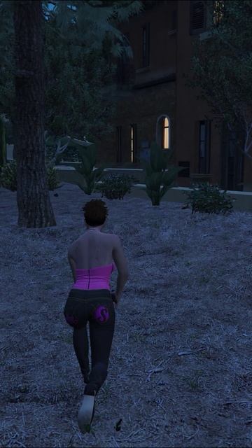 I was attacked by a panther. Where is she here from? / На меня напала пантера. Откуда она здесь? смотреть онлайн