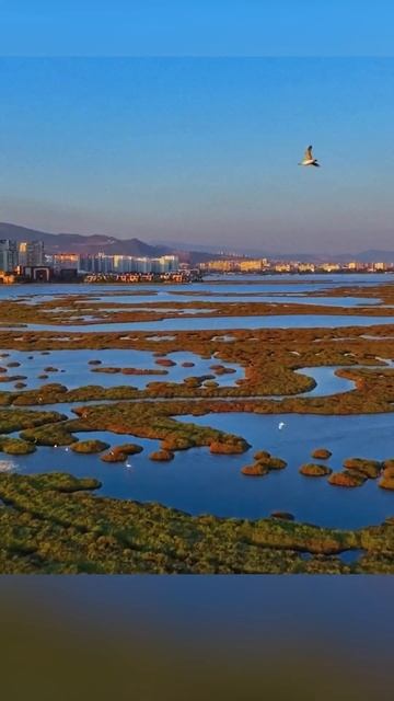 Стричь газон — нормально! смотреть онлайн