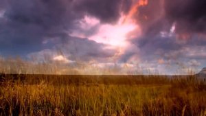 Ах ты степь широкая