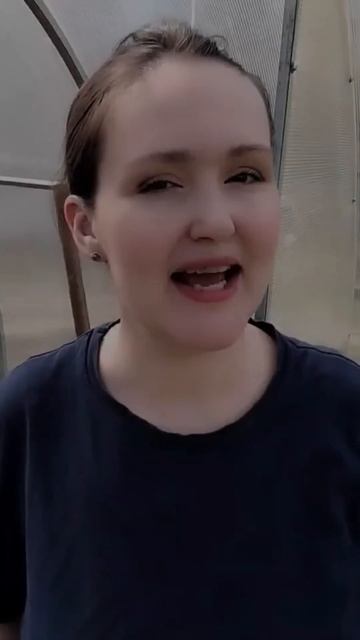 Увлажнение почвы важный шаг весной! 💧#Теплица #Садово смотреть онлайн