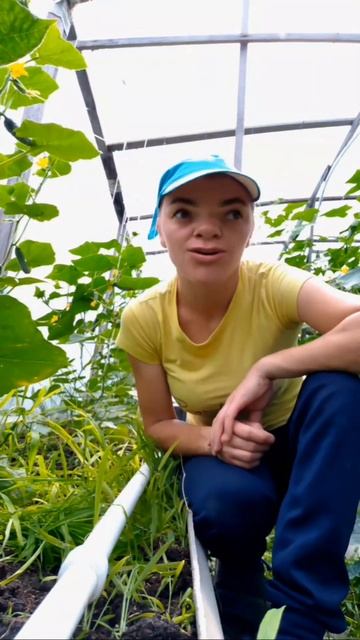 начинающий огородник, фермеры 🍅🥒#огород#теплицы#огу