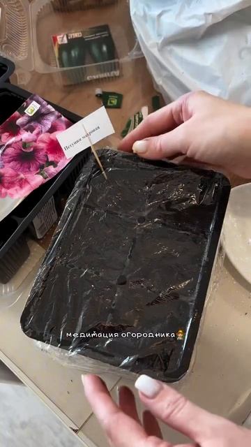 #shotsvideo #огород #дача #рассада #петуния #перец #рассадапе смотреть онлайн