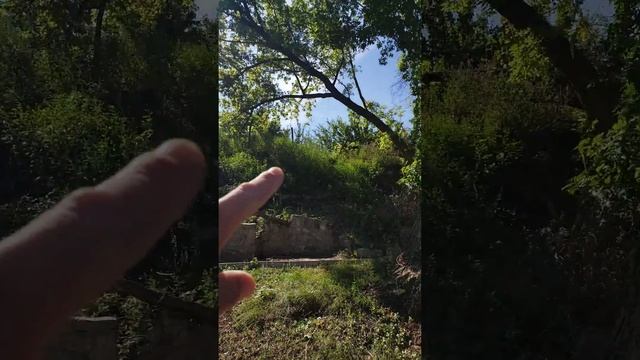 Пруд за двором. Алексеевка Волг.обл. смотреть онлайн