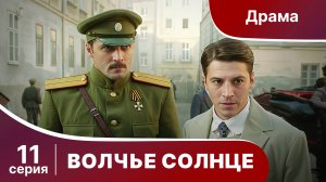 Волчье Солнце. Серия 11. Военный шпионский боевик. Сериал.