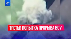 ВСУ предприняли третью попытку наступления в Курскую область за 2 недели