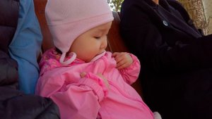 Сады Мечты в г. Абакане