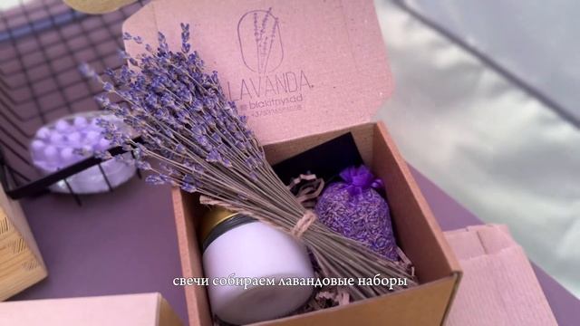 Лавандовое поле в Вилейском районе «Блакітны сад”