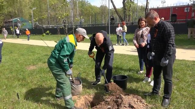 В СОЛНЕЧНОГОРСКЕ ПРОШЛА АКЦИЯ «ЛЕС ПОБЕДЫ» смотреть онлайн