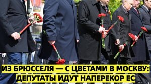 Евродепутаты ломают табу: из Брюсселя — с цветами в Москву на 9 Мая