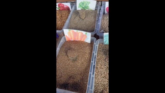 13 марта 2024 гОбзор семена местные смотреть онлайн