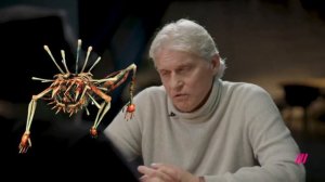 Тиньков поясняет за Пепельные земли (Valheim)