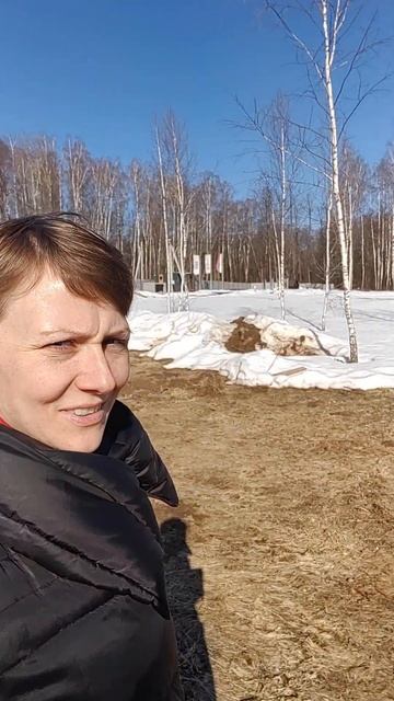 Посадка дома на участок  #4i #4ernayaikra