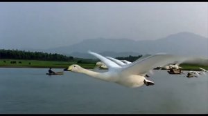 Братьям Славянам - Посвящается ... !