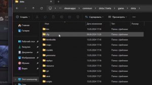 КАК ИЗМЕНИТ ШРИФТ В ДОТЕ? ГАЙД НА 2024 ГОД!