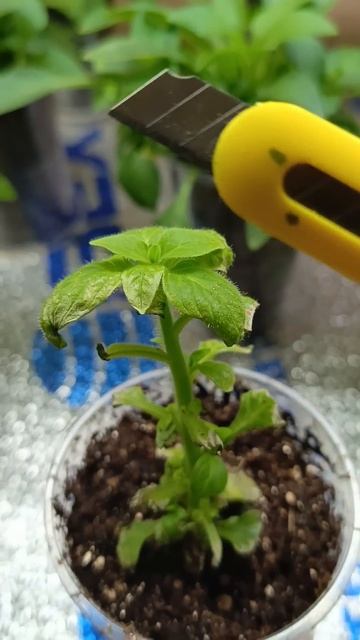 23 января 2025 г. смотреть онлайн