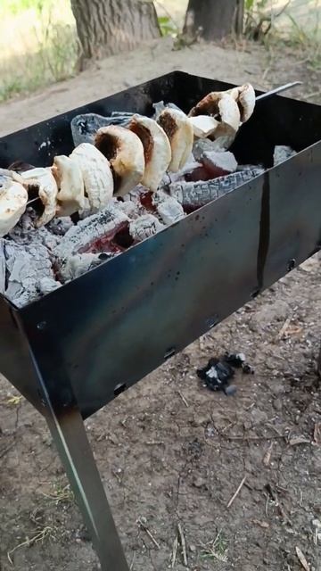 шампиньоны на мангале #грибы смотреть онлайн