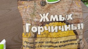Боль садовода. Как спасти Пионы от муравьёв. Эффективн