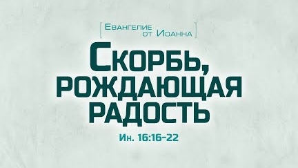 Ев. от Иоанна: 89. Скорбь, рождающая радость (Алексей Коломийцев)