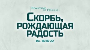 Ев. от Иоанна: 89. Скорбь, рождающая радость (Алексей Коломийцев)