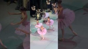 Полина Нецветаева - Долгалёва, фея сирени Спящая Краса