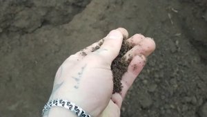Полевая земля/плодородный грунт/коричневая плодородн