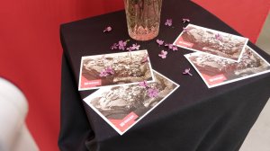 Осетины Герои Советского Союза в Великой Отечественной войне 1941-1945 г г.