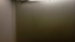 Грузопассажирский Лифт OTIS MCS-300 630/kg V=1m/s (263)