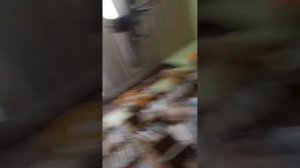 АСМР Библиотека Первоцвет#асмр#библиотека