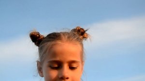 Колесо-поле