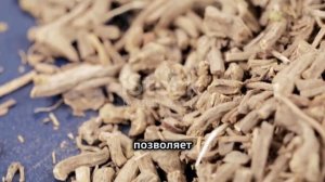 Валериана. Корень валерианы. Всё что Вы знали и не знал