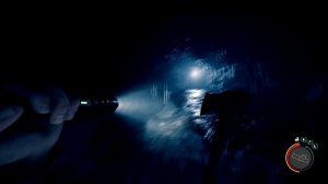 Где найти крест и тросомёт в Sons of The Forest