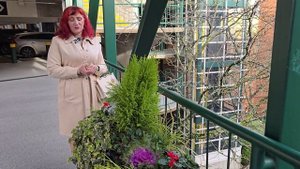 Как создать зимнюю клумбу: Советы по подбору растений