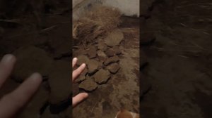 утепляем полы в курятнике легко и просто