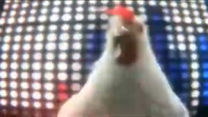 Курица поет     Chicken song {ЗвероПой}     Приколы