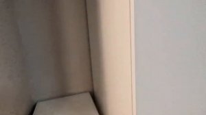 Новая квартира в аренду