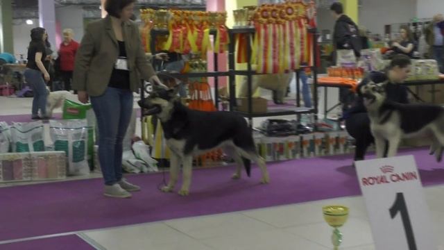 Сравнение на ЛПП смотреть онлайн